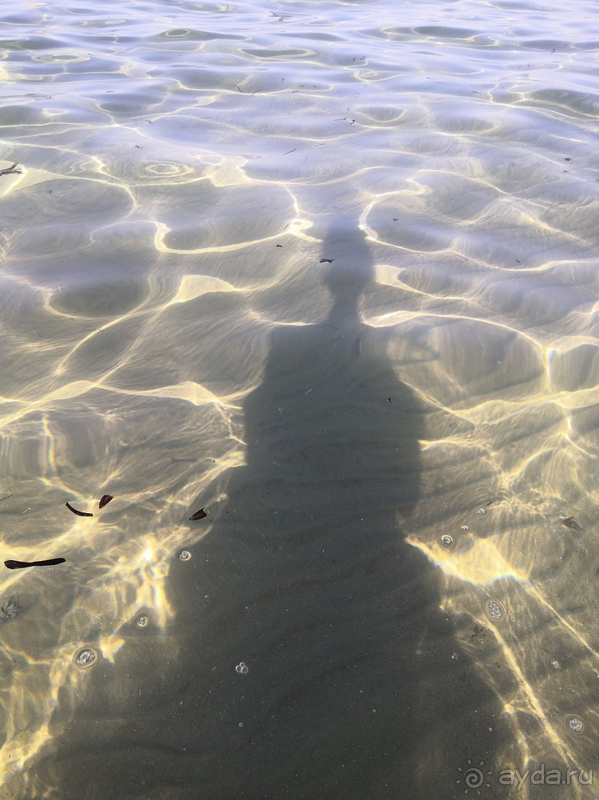 В целом, по соотношению цена/качество, рекомендуем.