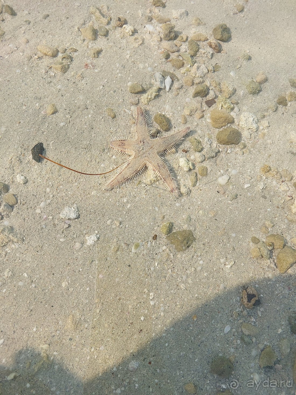 Прекрасно отдохнули в Дубаи