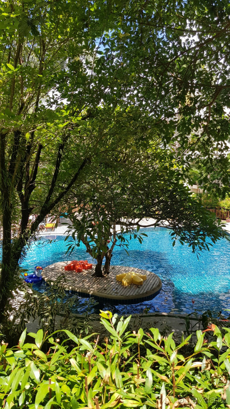 фото Peach Hill Hotel & Resort