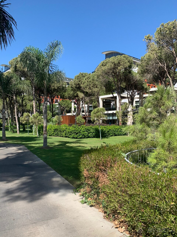 Прекрасный отдых