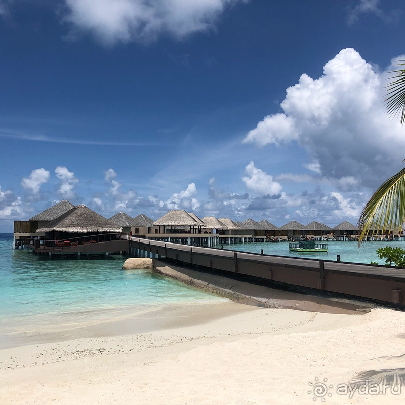 Идеальный медовый месяц