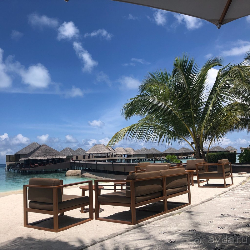 Идеальный медовый месяц