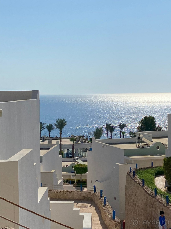 Всем рекомендую данный отель Всем рекомендую данный отель