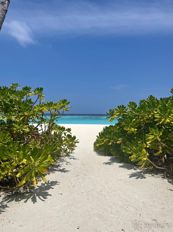 фото Sun Siyam Iru Fushi