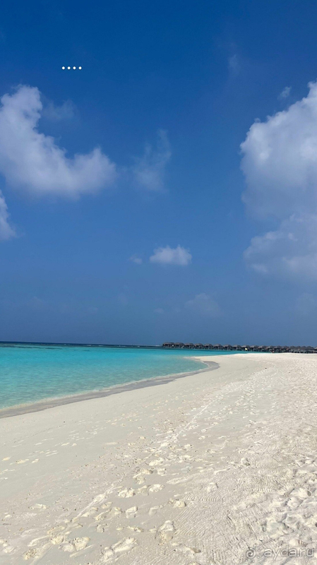 Сочетание цена-качество у отеля идеальное