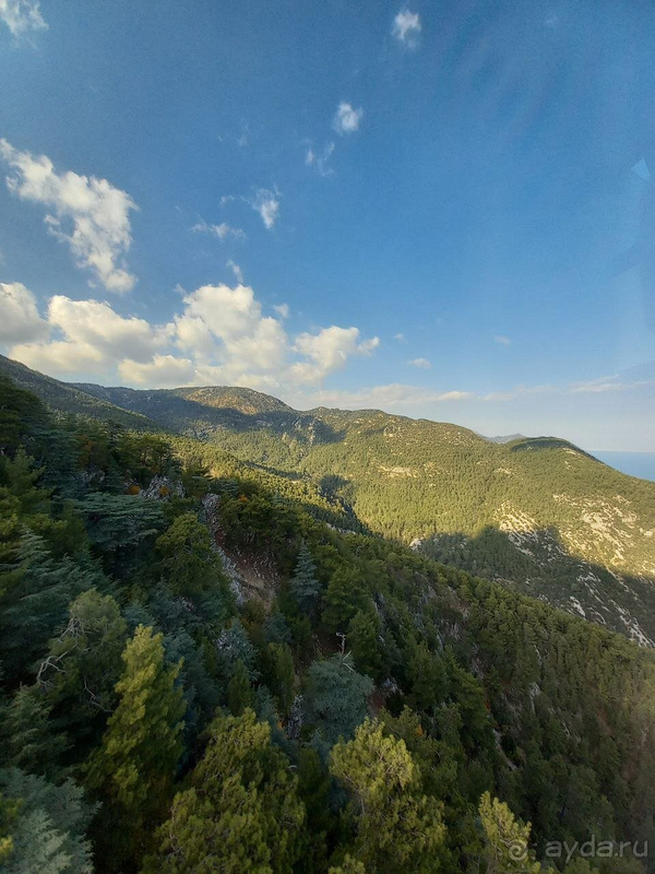 Бюджетный отель Seker Resort