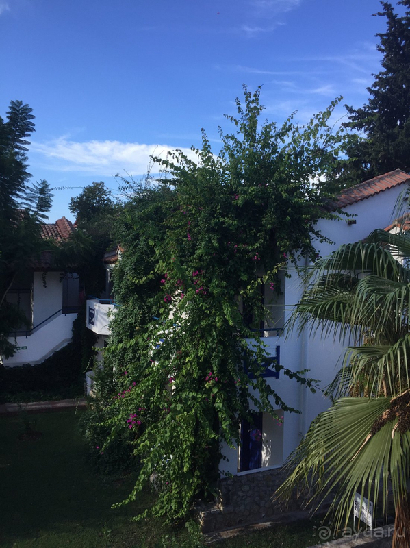 Очень красивая местность, мы всем довольны