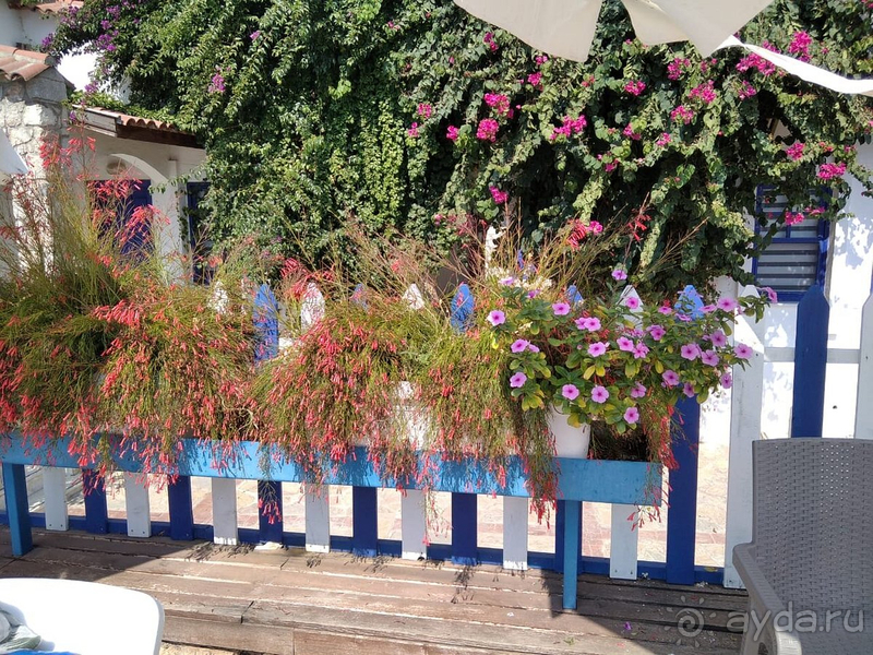 Очень красивая местность, мы всем довольны