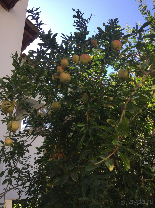 Очень красивая местность, мы всем довольны