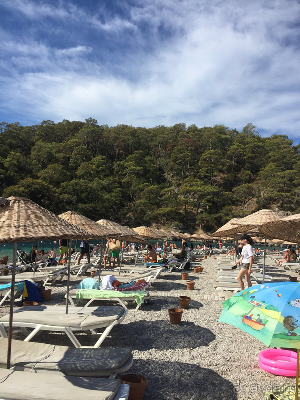 Очень красивая местность, мы всем довольны