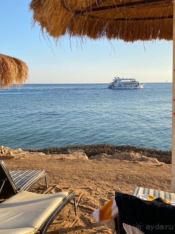 Отель Coral Hills Resort рекомендуем!