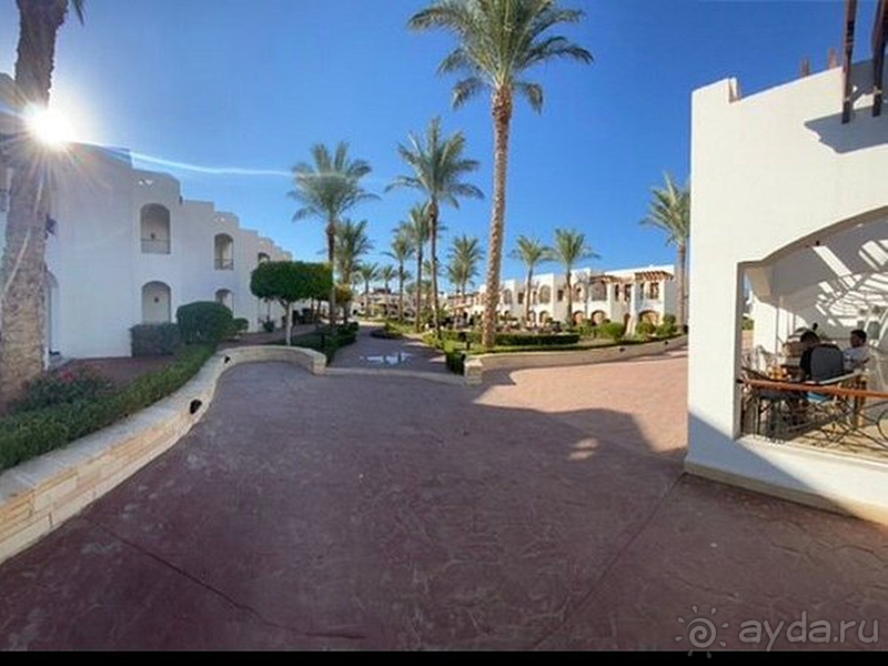 Отель Coral Hills Resort рекомендуем!