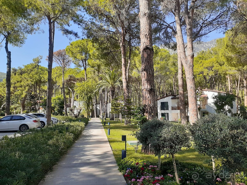 В своей ценовой категории прекрасный отель