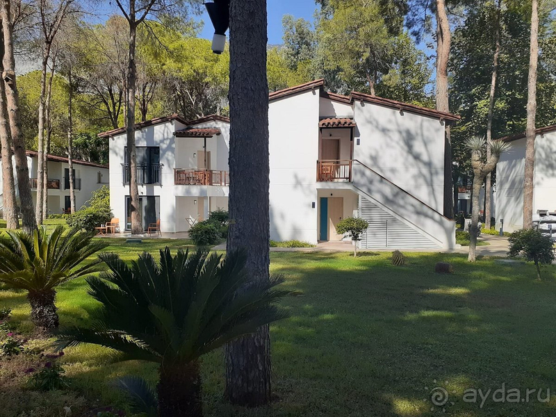 В своей ценовой категории прекрасный отель