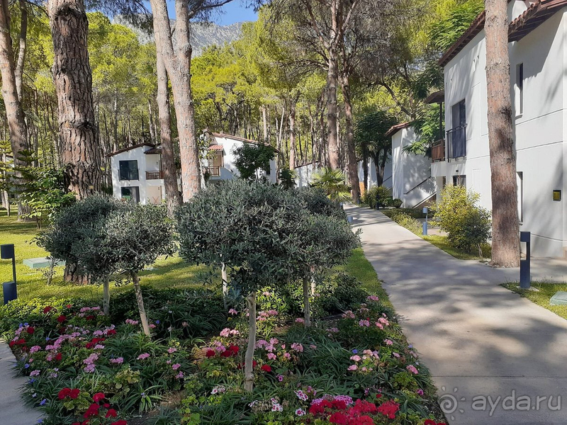 В своей ценовой категории прекрасный отель