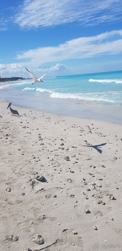 Куба - это Куба))