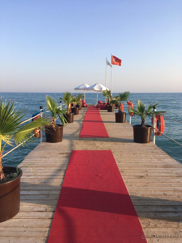 Не идеально, но неплохо