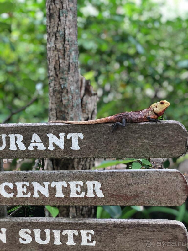 Самые настоящие Мальдивы