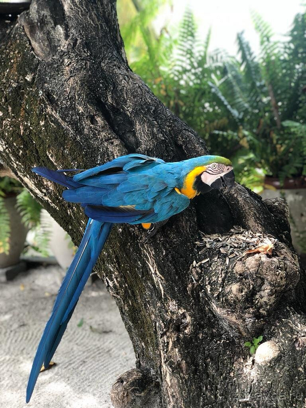 Самые настоящие Мальдивы