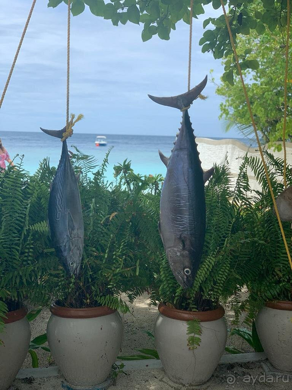 Самые настоящие Мальдивы