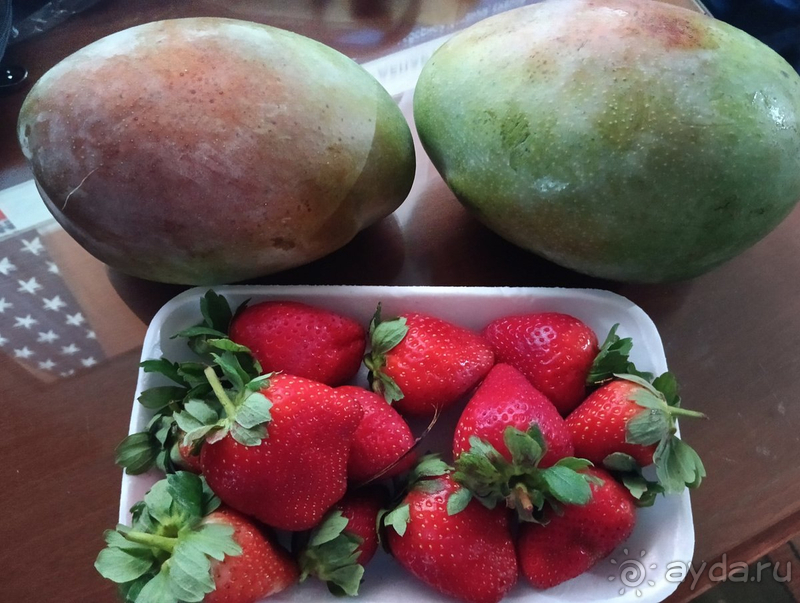 Неплохо отдохнули