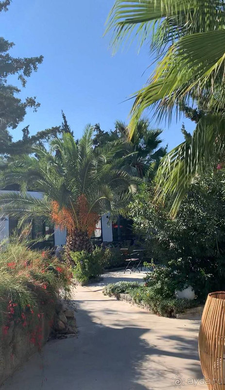 В этом отеле вы не выспитесь! 