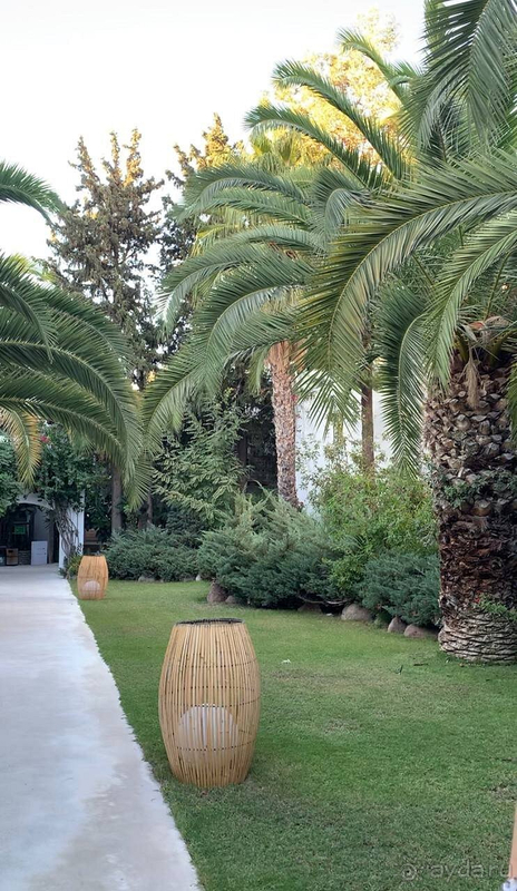 В этом отеле вы не выспитесь! 