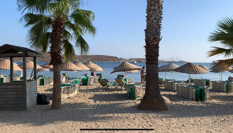 В этом отеле вы не выспитесь! 