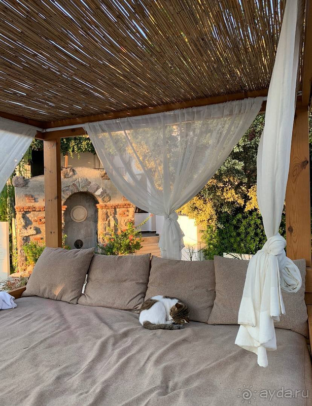 В этом отеле вы не выспитесь! 