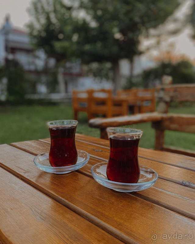 Нам понравился отель Queen's Park Le Jardin Resort! 