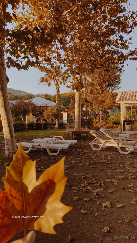 Нам понравился отель Queen's Park Le Jardin Resort! 