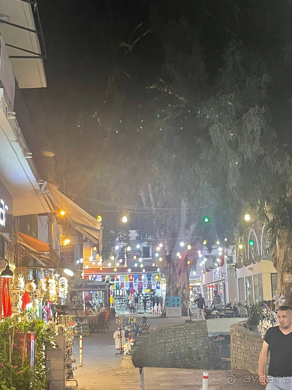 Замечательно провели отпуск в отеле Labranda TMT Bodrum