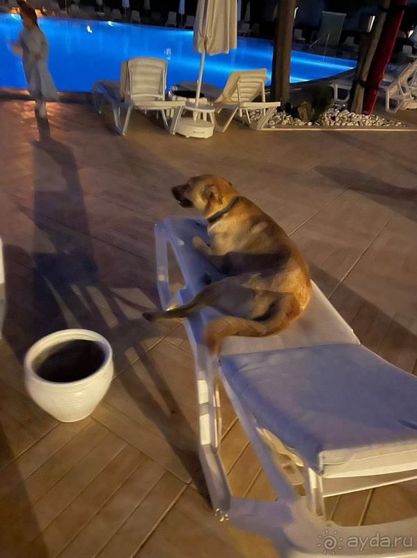 Замечательно провели отпуск в отеле Labranda TMT Bodrum