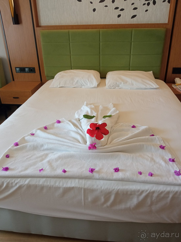 Обязательно приеду к Вам снова!