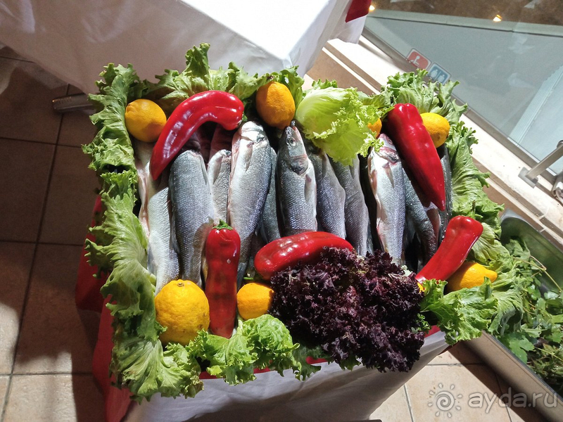 Обязательно приеду к Вам снова!