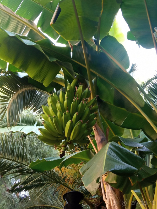 Обязательно приеду к Вам снова!