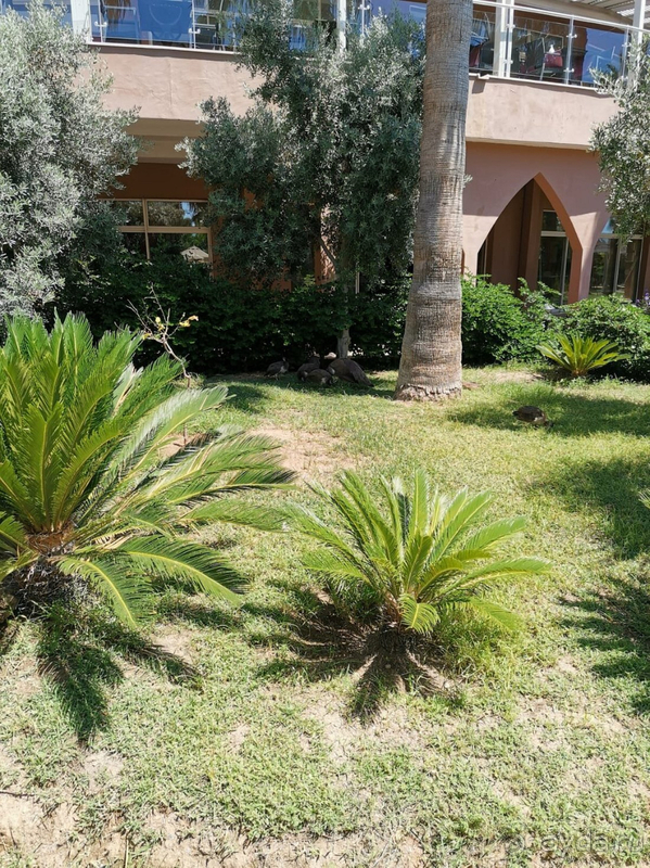 Для отдыха с детьми - отлично,  парам я бы посоветовал поискать место поспокойнее