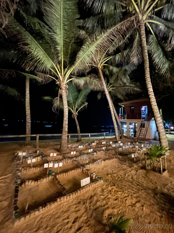 фото Hikka Tranz by Cinnamon