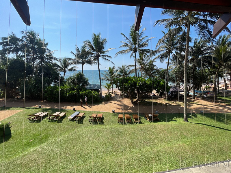 Прекрасный отель на Шри-Ланке!