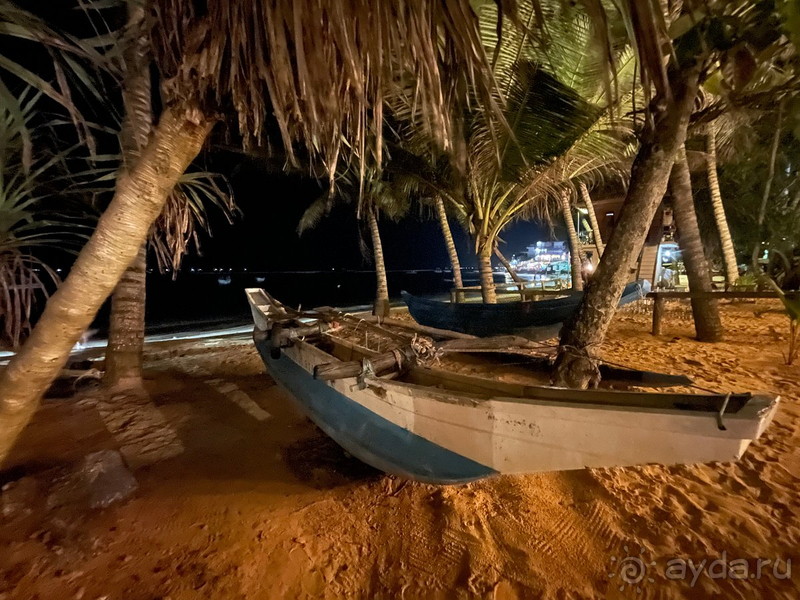 Прекрасный отель на Шри-Ланке!