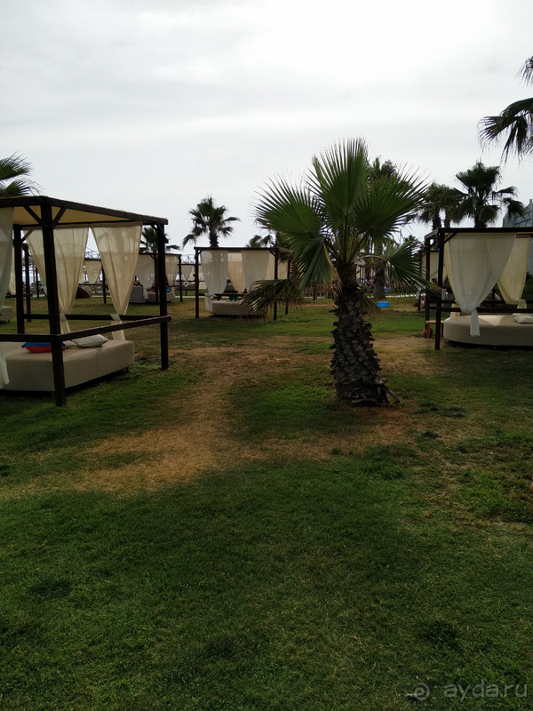 Отдых с детьми в стиле Disney