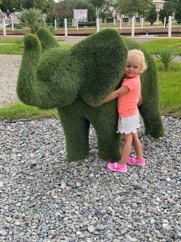 Отзыв о Сочи-парк отеле