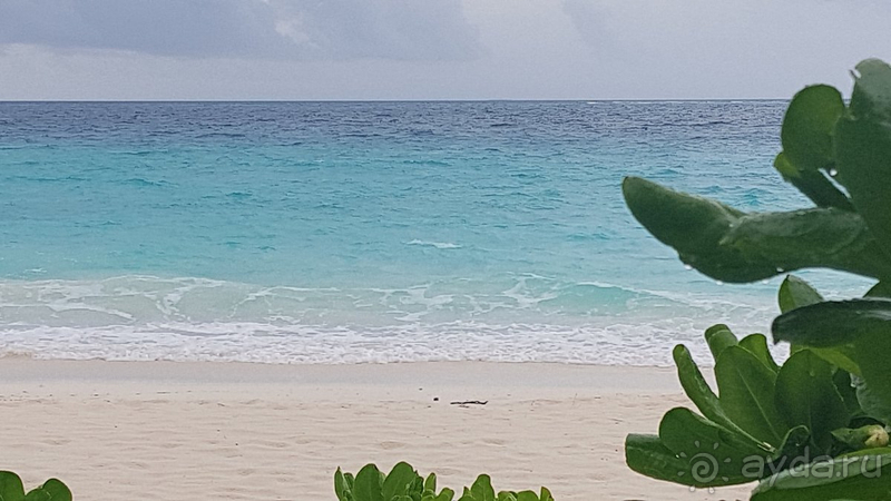 Влюбились в Marriott Maldives - идеальный отель!