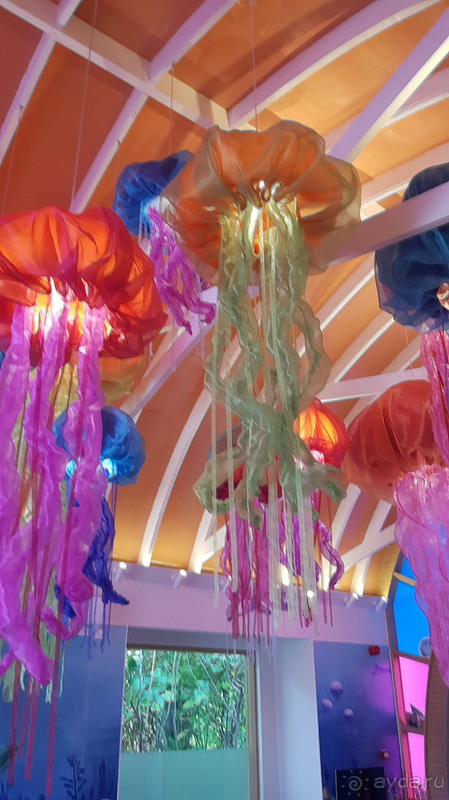 Влюбились в Marriott Maldives - идеальный отель!