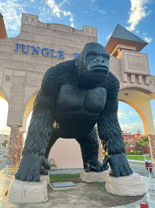Хорошо отдохнули в отеле Jungle Aqua Park, но второй раз не поеду