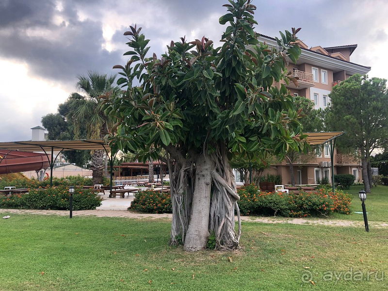 Хороший, спокойный отель