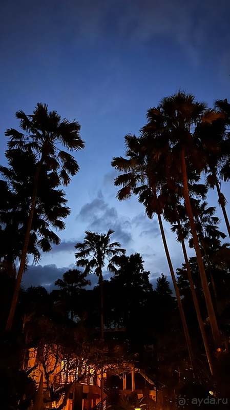 Отель шикарный