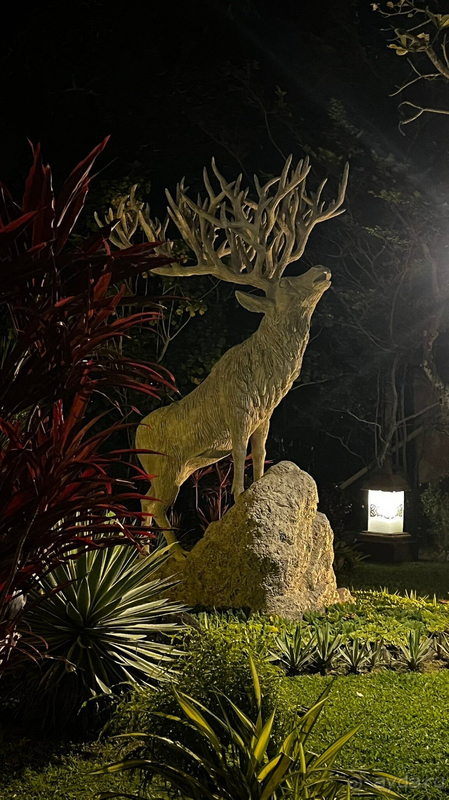 Отель шикарный