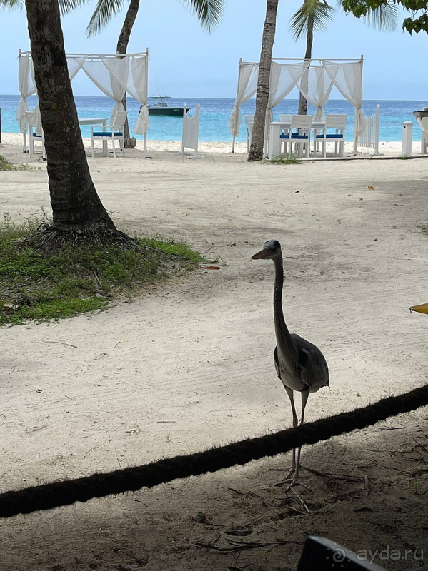 Душевно отдохнули