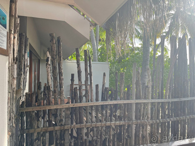 Душевно отдохнули